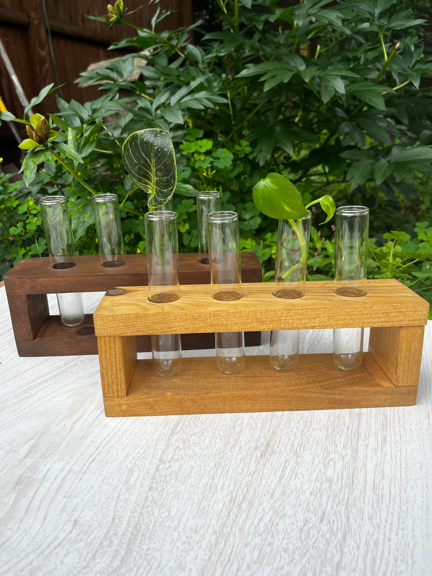 4-Tube Standing Propagation Station
