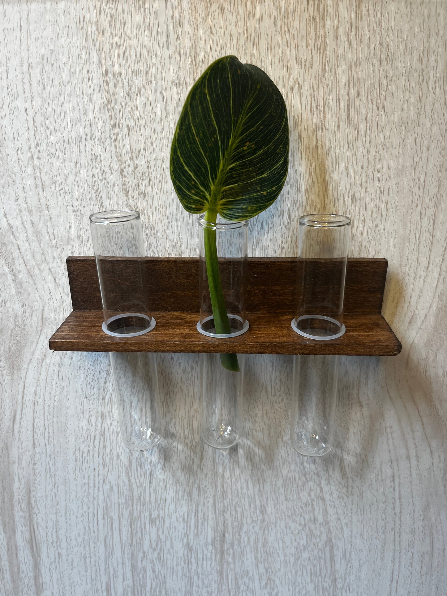 3-Tube Mini Propagation Station