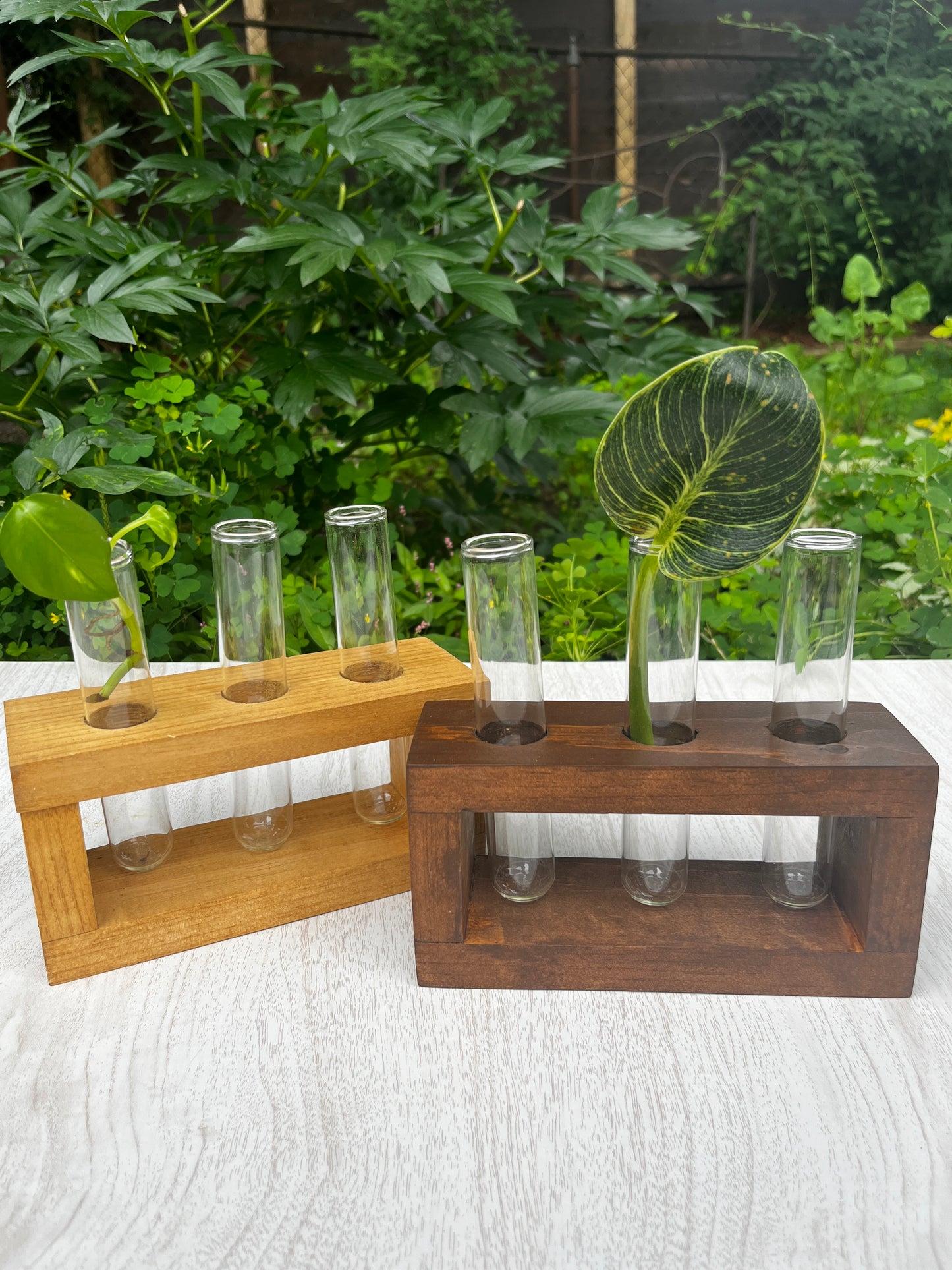 3-Tube Standing Propagation Station