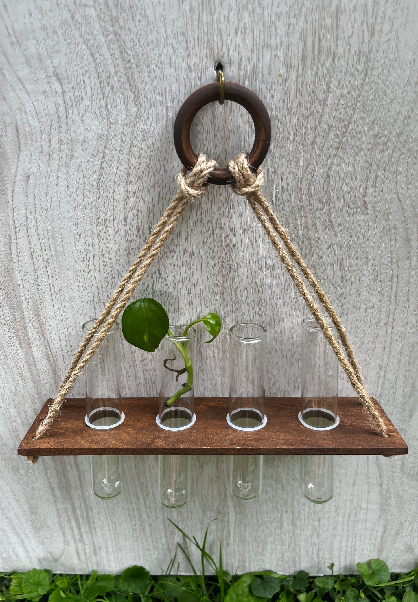 4-Tube Hanging Propagation Station