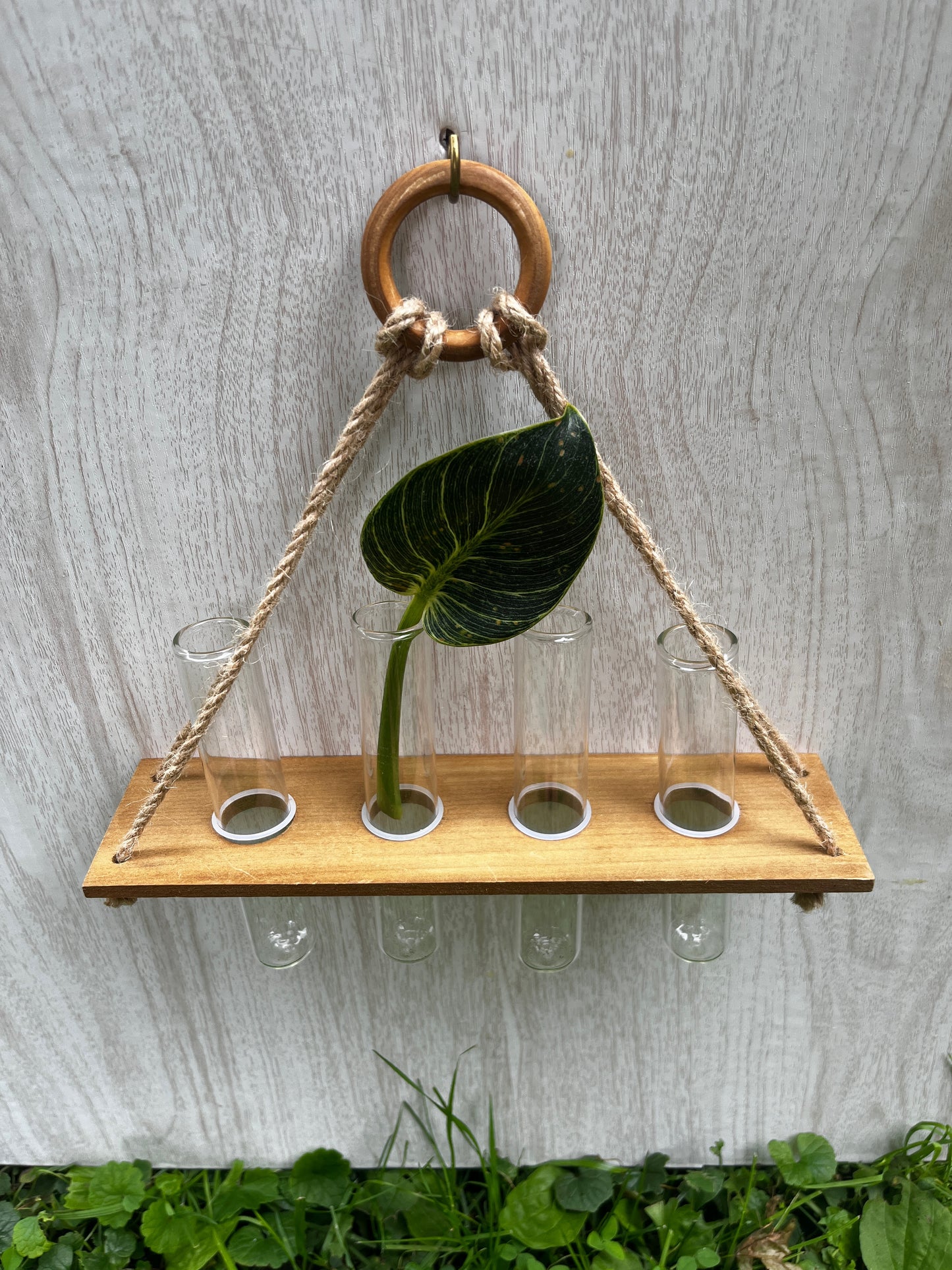 4-Tube Hanging Propagation Station