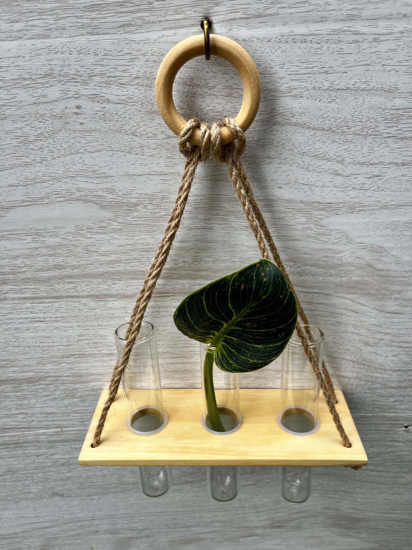 3-Tube Hanging Propagation Station