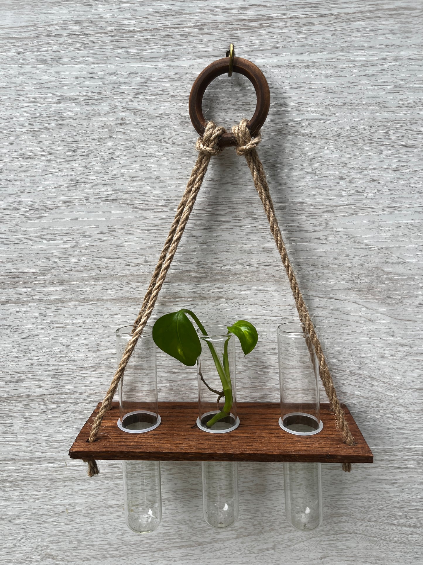 3-Tube Hanging Propagation Station