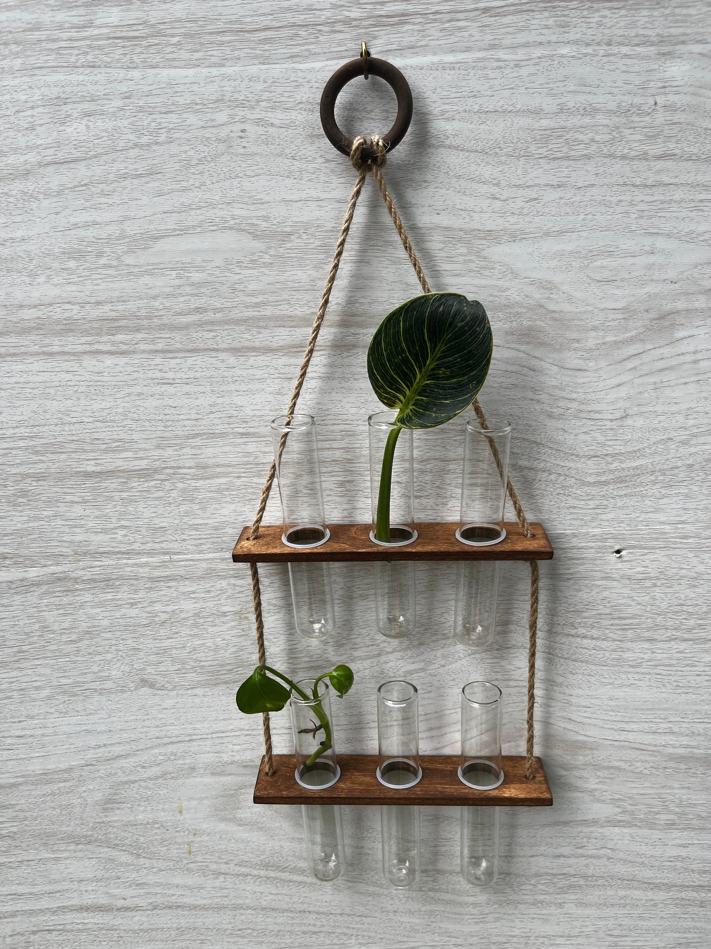 6-Tube Hanging Propagation Station