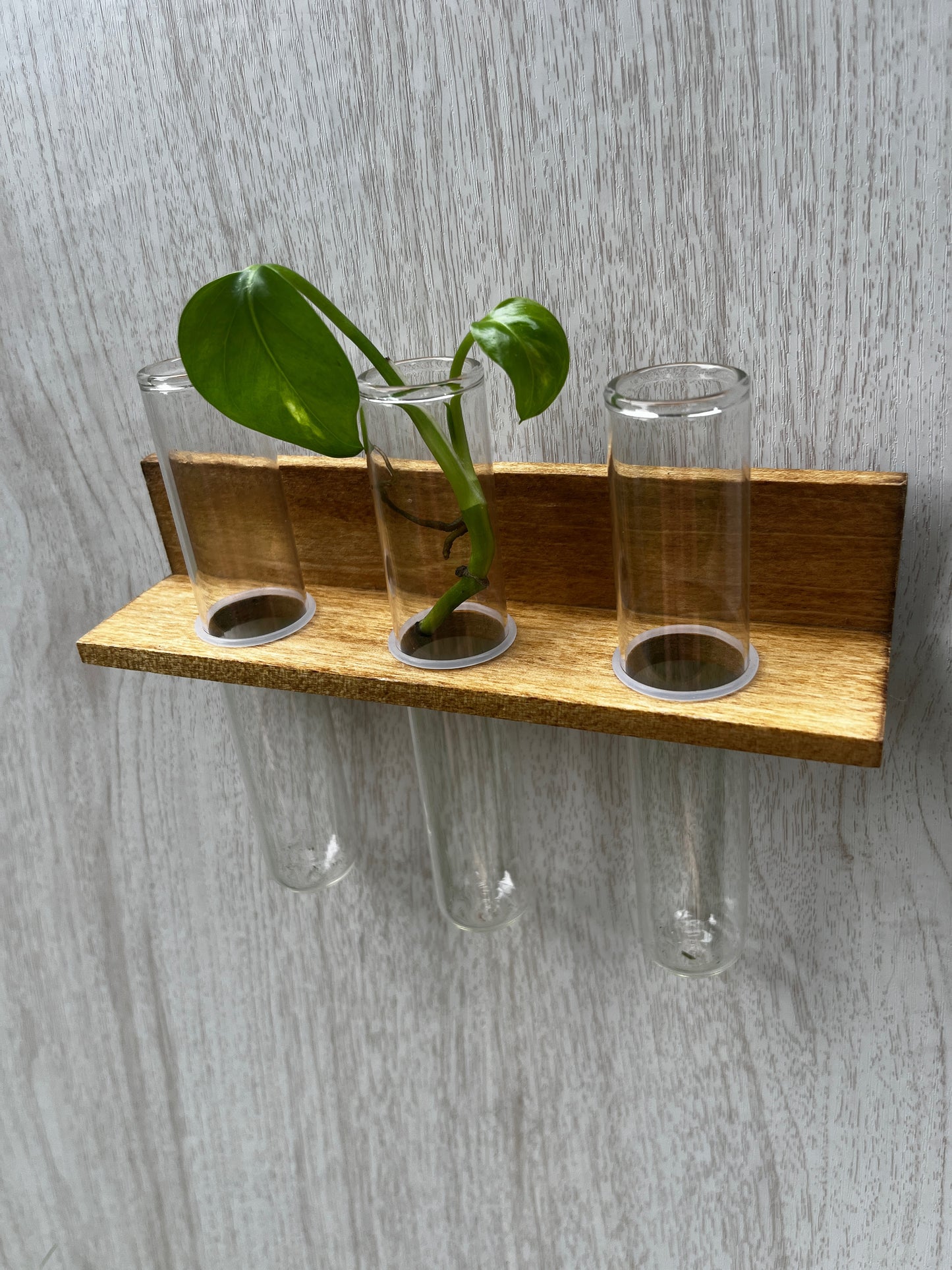 3-Tube Mini Propagation Station